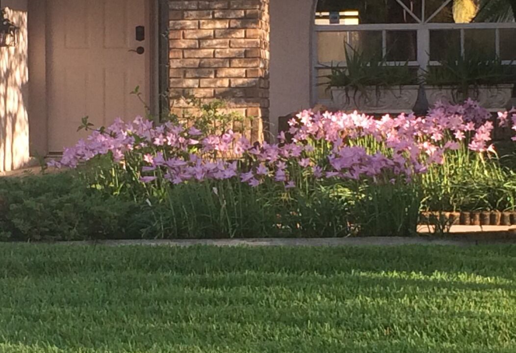 Photo of Outdoor in Countryway
