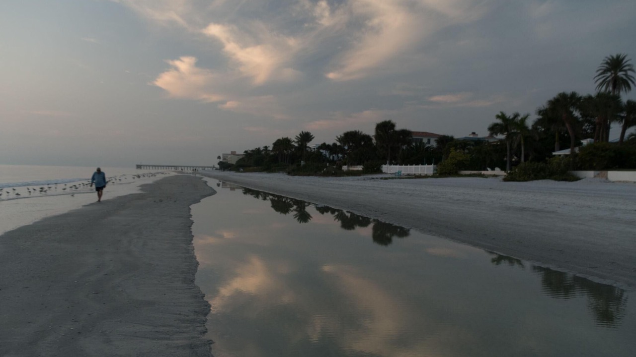 Photo of Others in Madeira Beach
