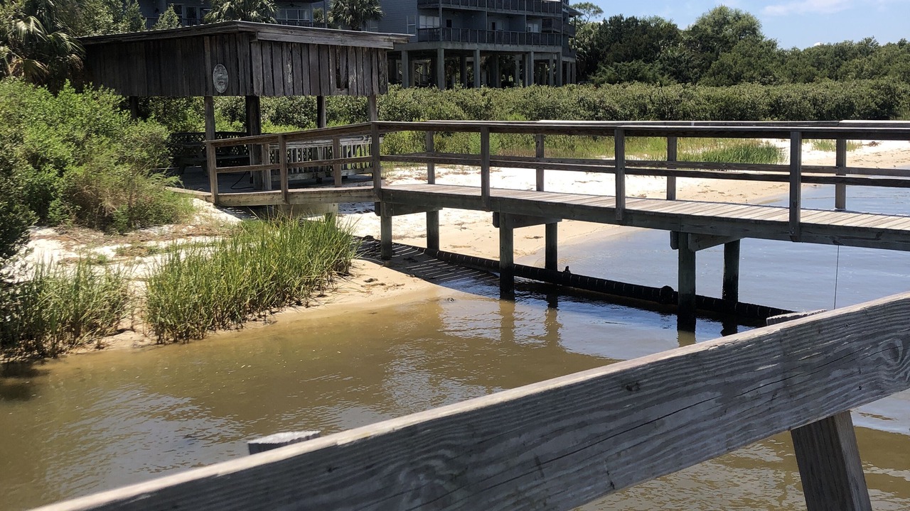 Photo of Outdoor in Cedar Key