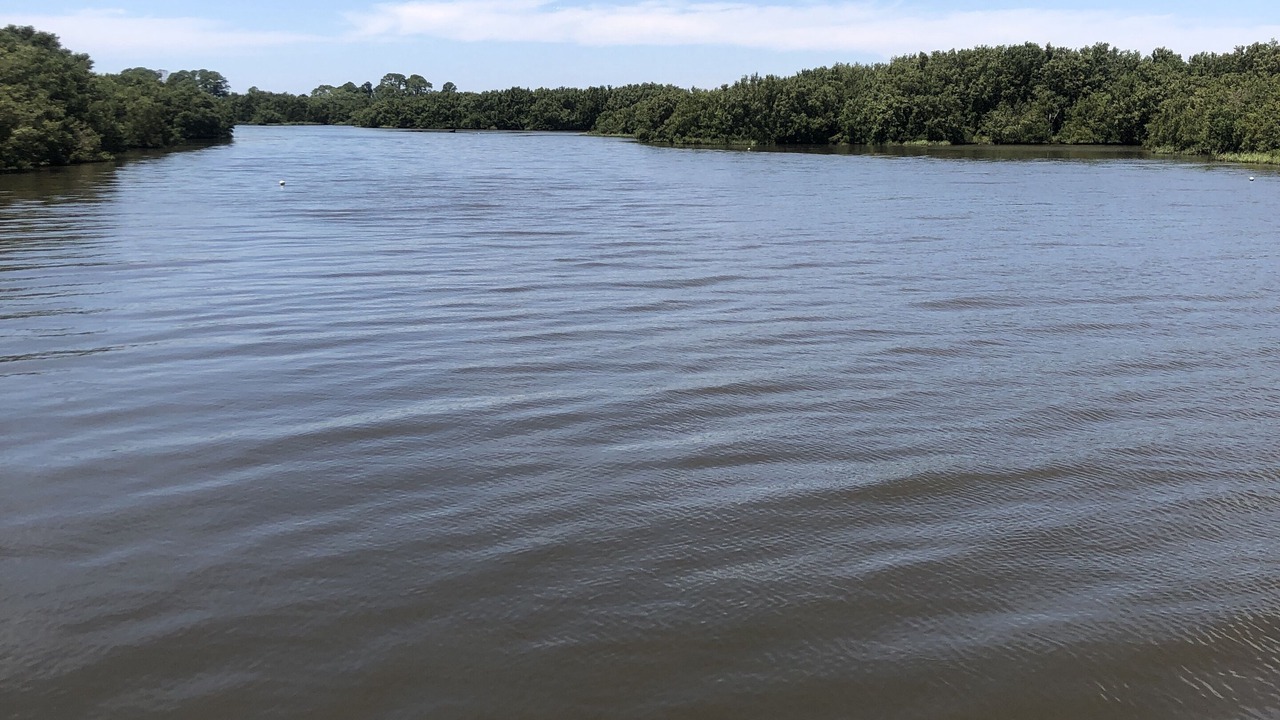 Photo of Outdoor in Cedar Key