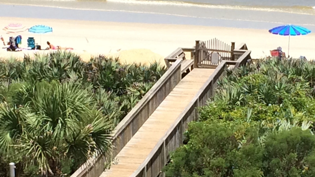 Photo of Others in Palm Coast
