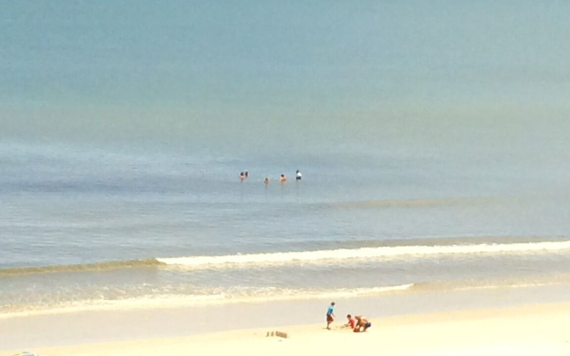 Photo of Others in Palm Coast
