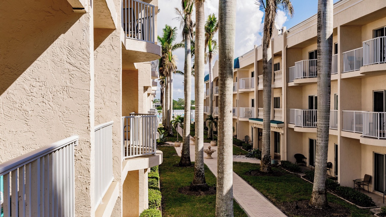 Photo of Outdoor in Siesta Key