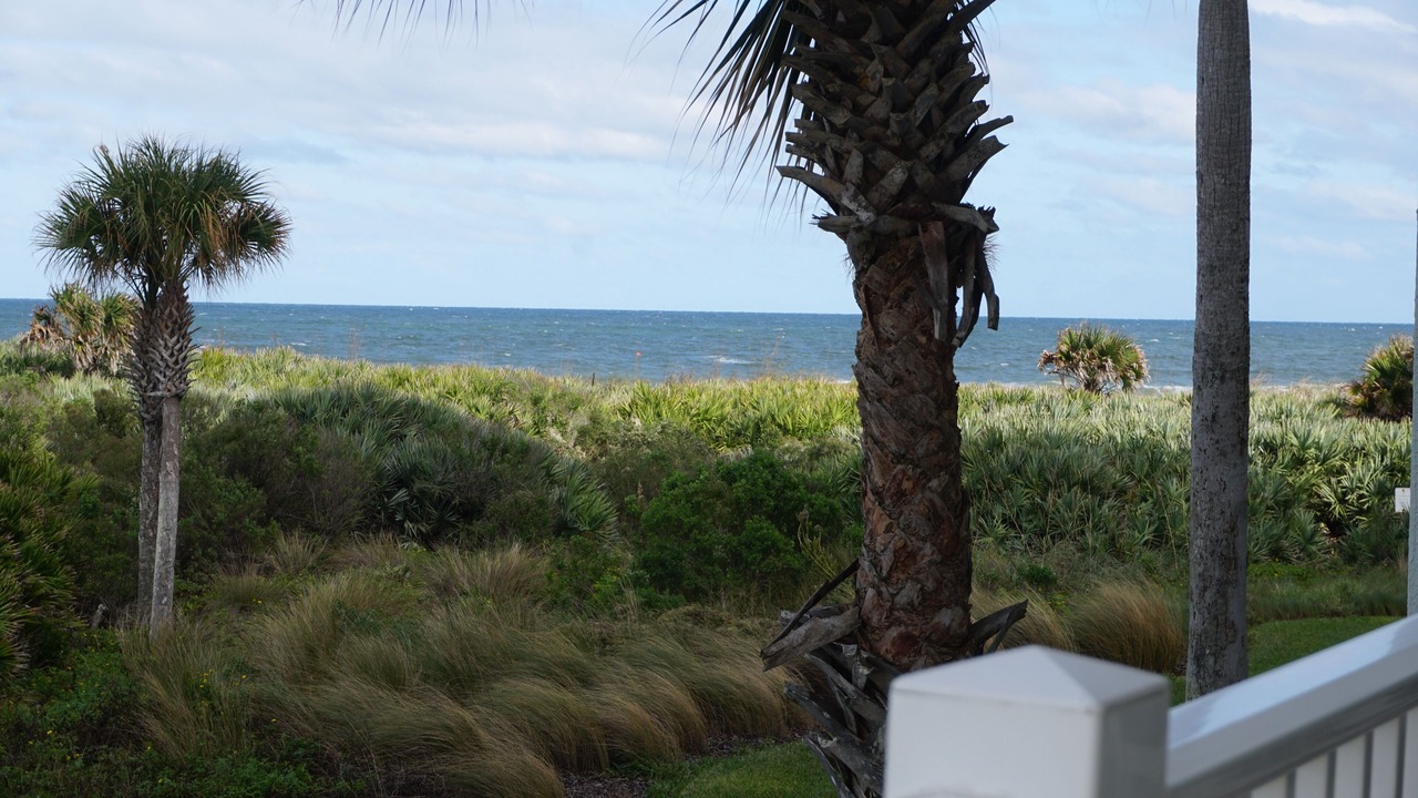 Photo of Outdoor in Palm Coast