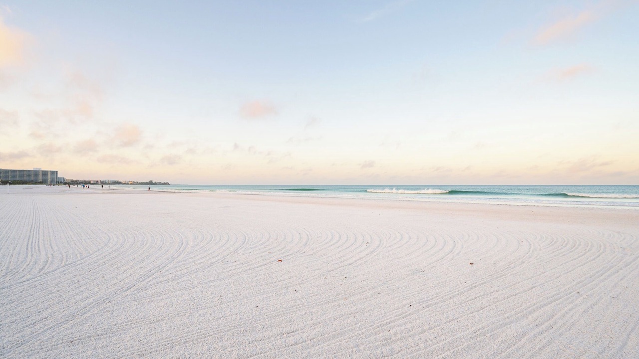 Photo of Others in Siesta Key