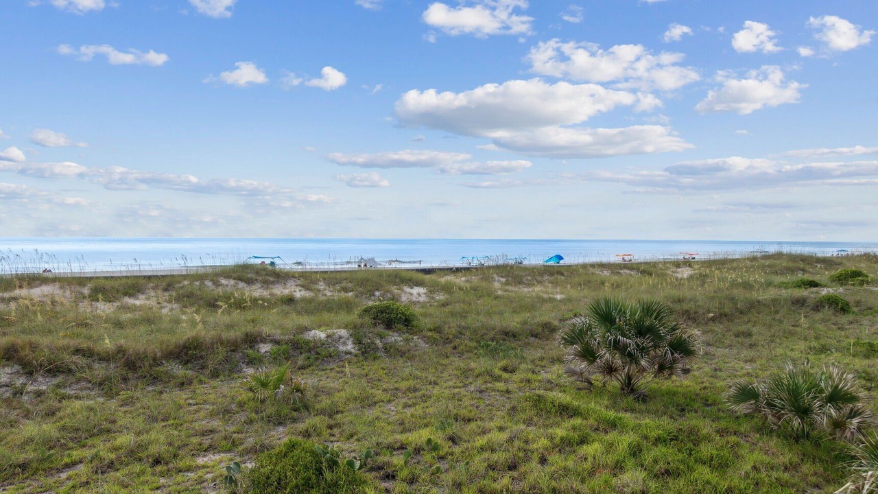 Photo of Others in Ocean Cay
