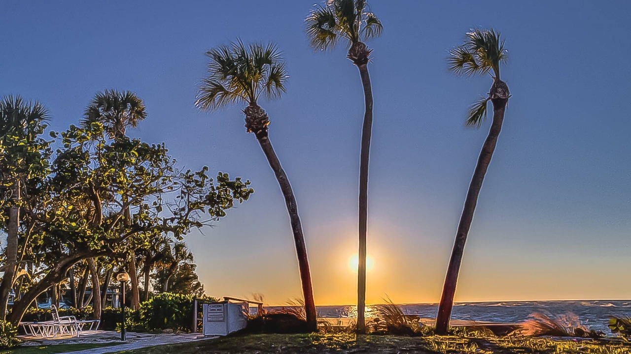 Photo of Others in Siesta Key
