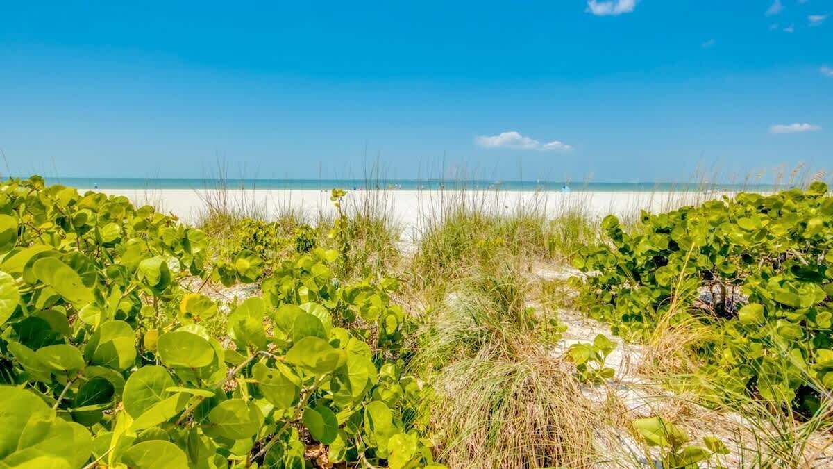 Photo of Others in Fort Myers Beach