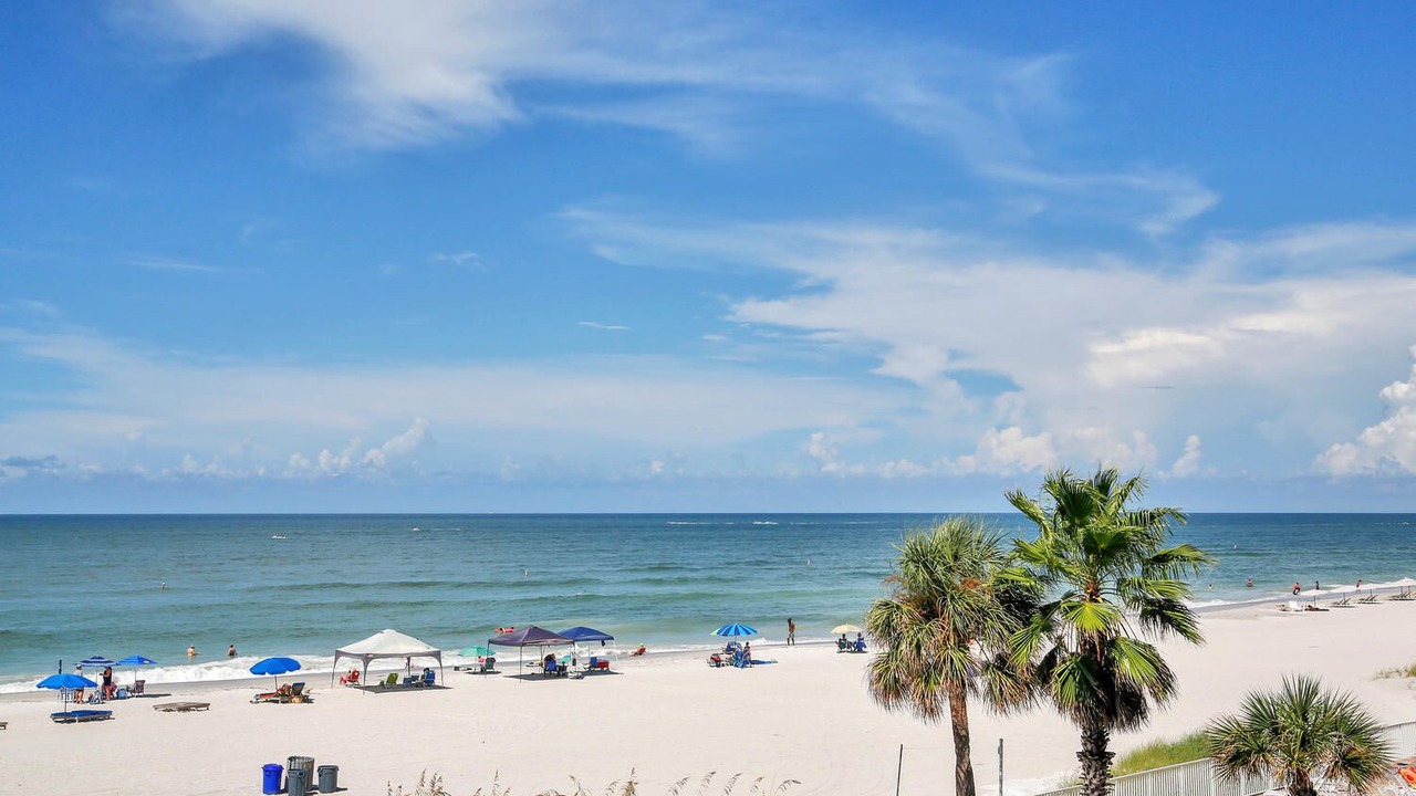 Photo of Others in Madeira Beach