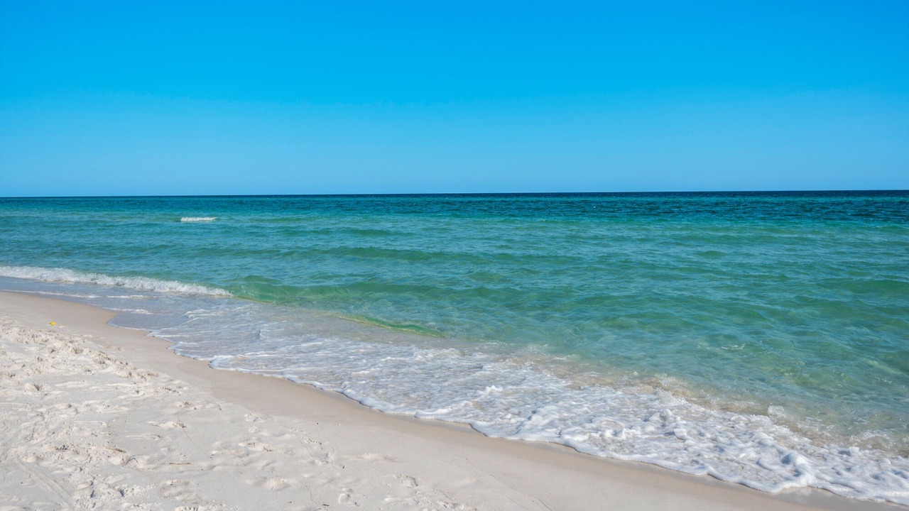 Photo of Others in Pensacola Beach
