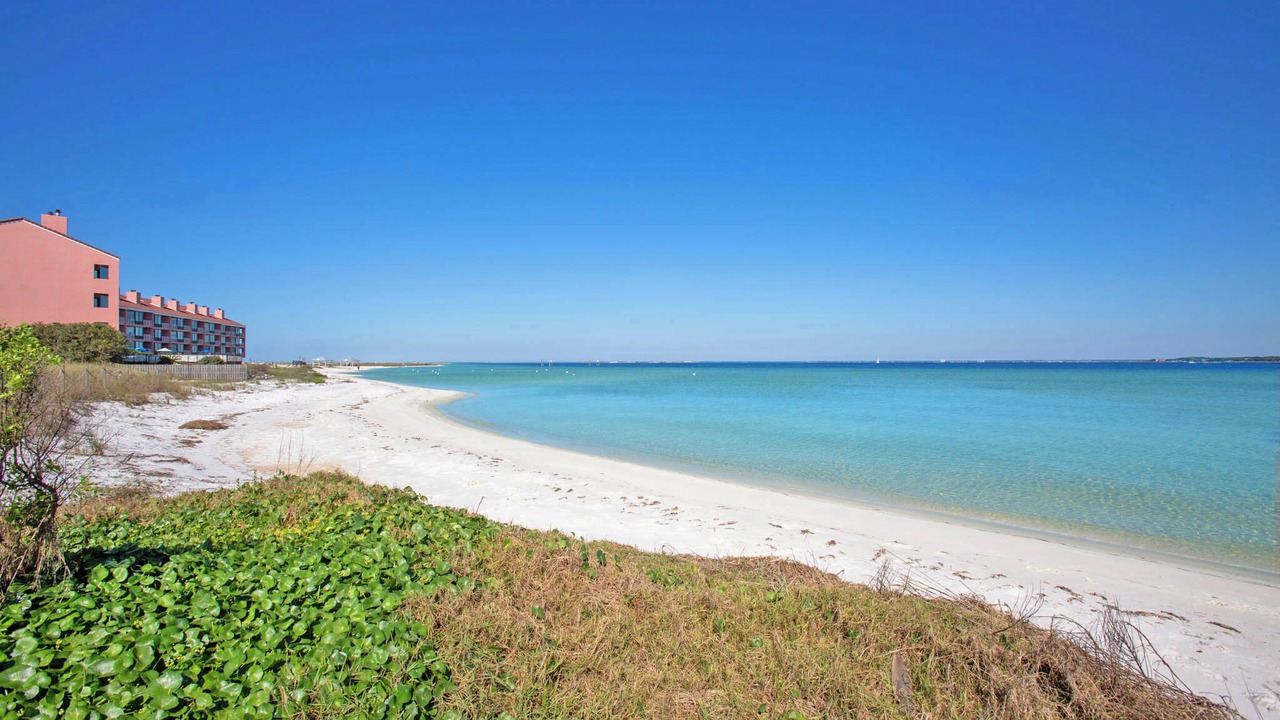 Photo of Others in Pensacola Beach