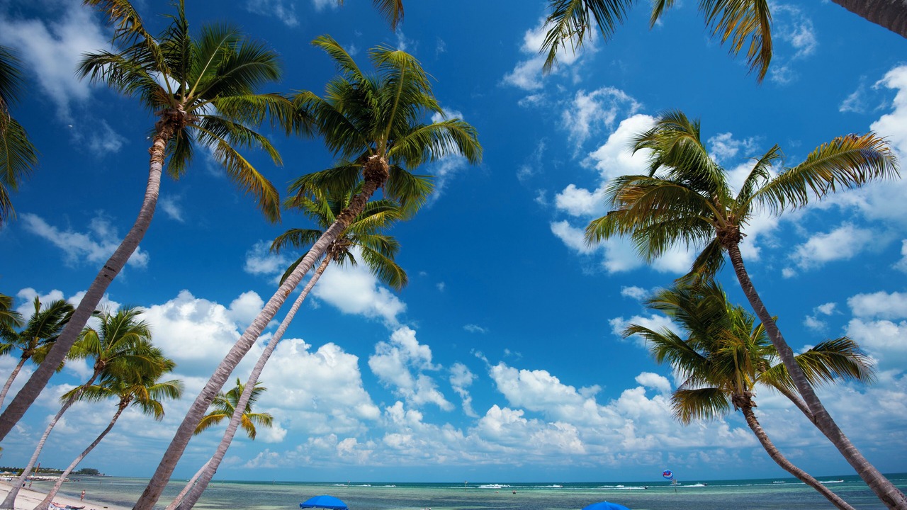 Photo of Others in Key West