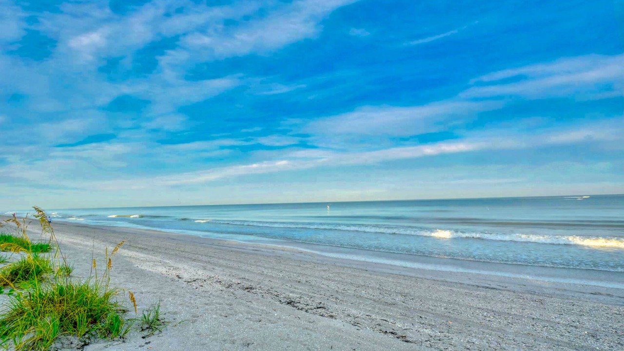Photo of Others in Indian Rocks Beach