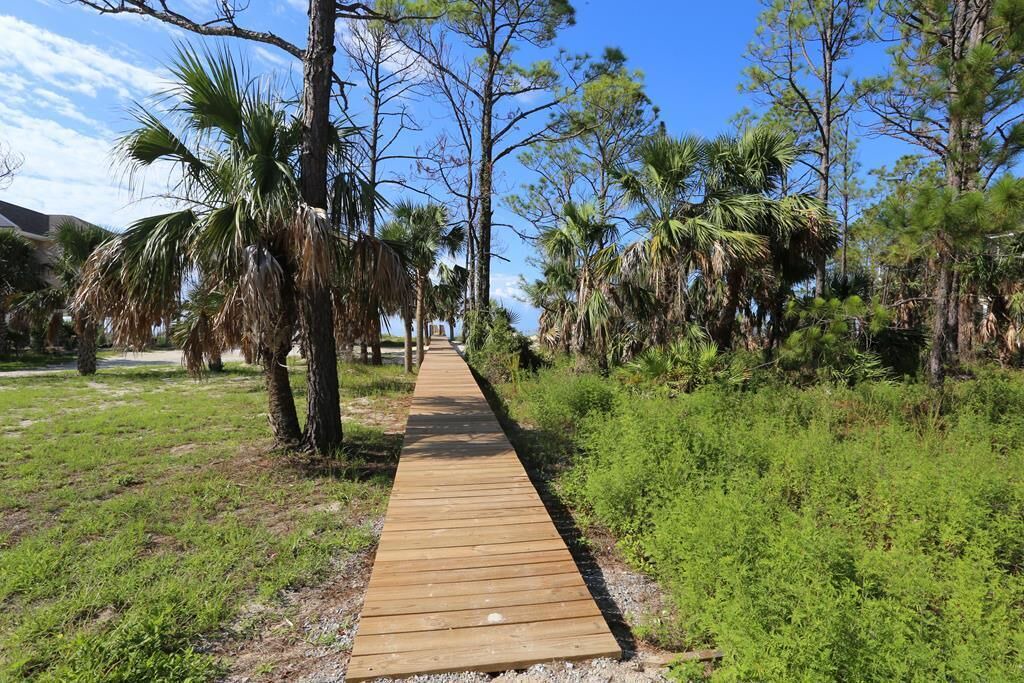 Photo of Others in Port St. Joe