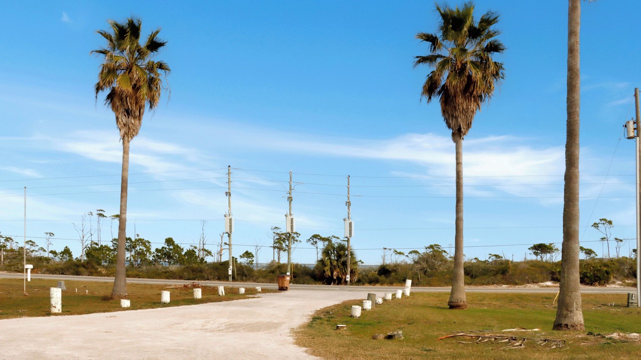 Photo of Others in Cape San Blas