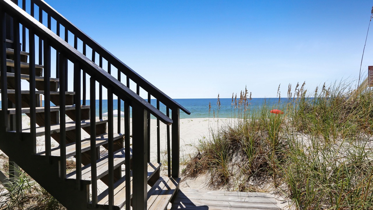 Photo of Others in Cape San Blas