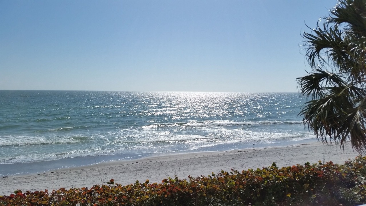 Photo of Others in Bahia Vista
