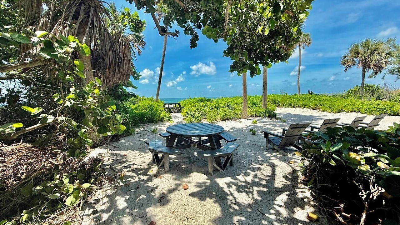 Photo of Outdoor in Whitney Beach