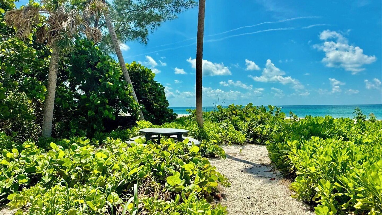 Photo of Outdoor in Whitney Beach