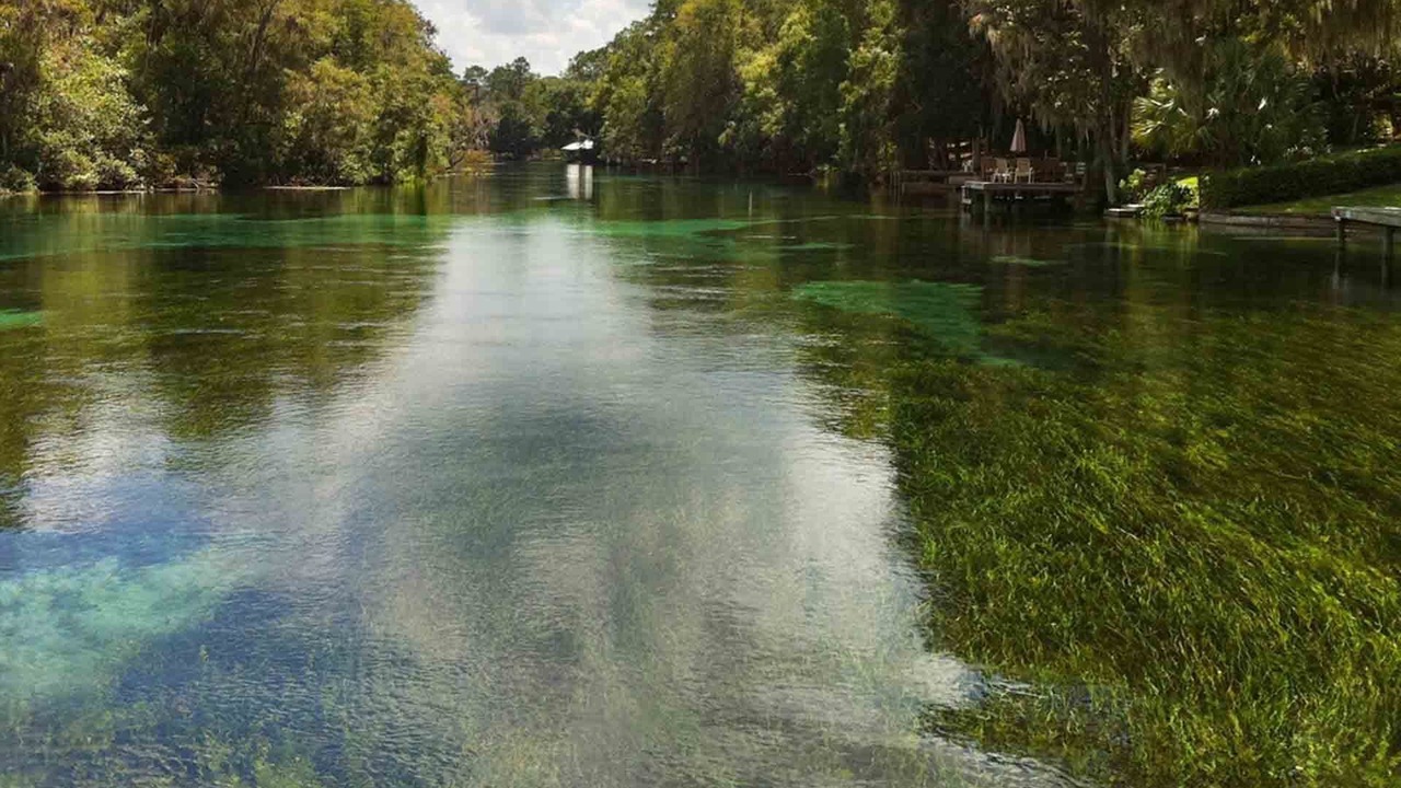 Photo of Outdoor in Dunnellon