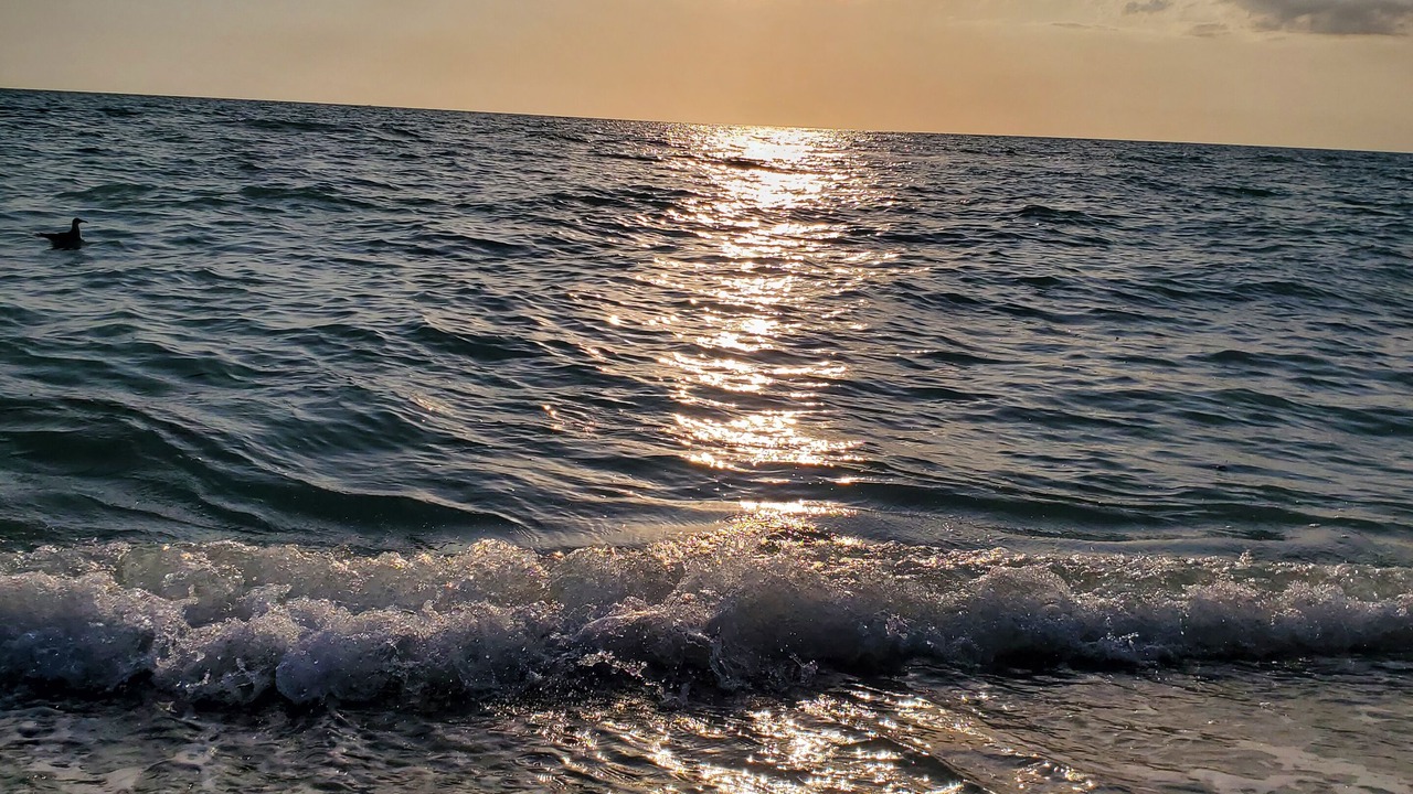 Photo of Others in Golden Beach