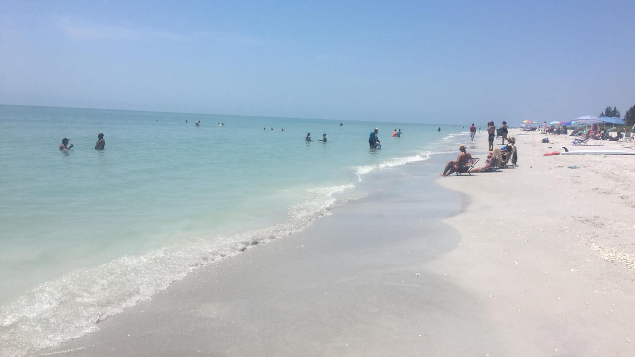 Photo of Others in Sanibel