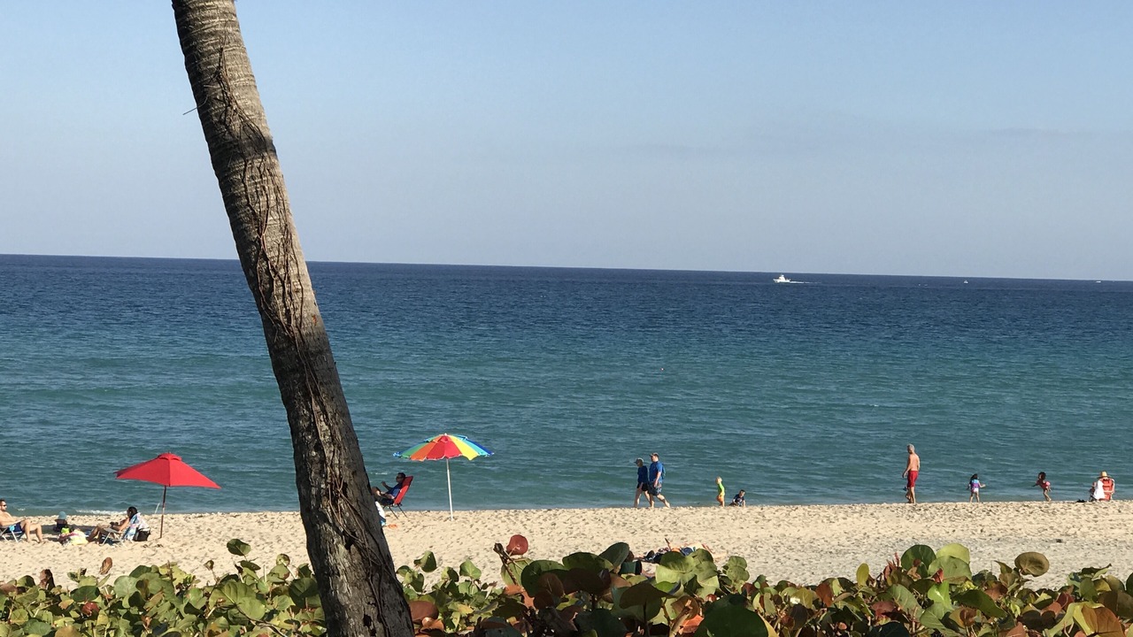 Photo of Others in Boynton Beach