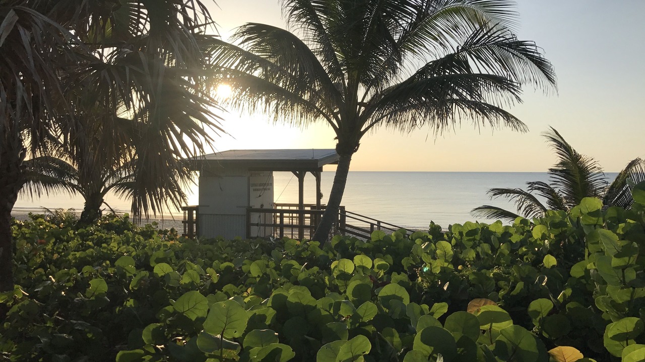 Photo of Outdoor in Boynton Beach