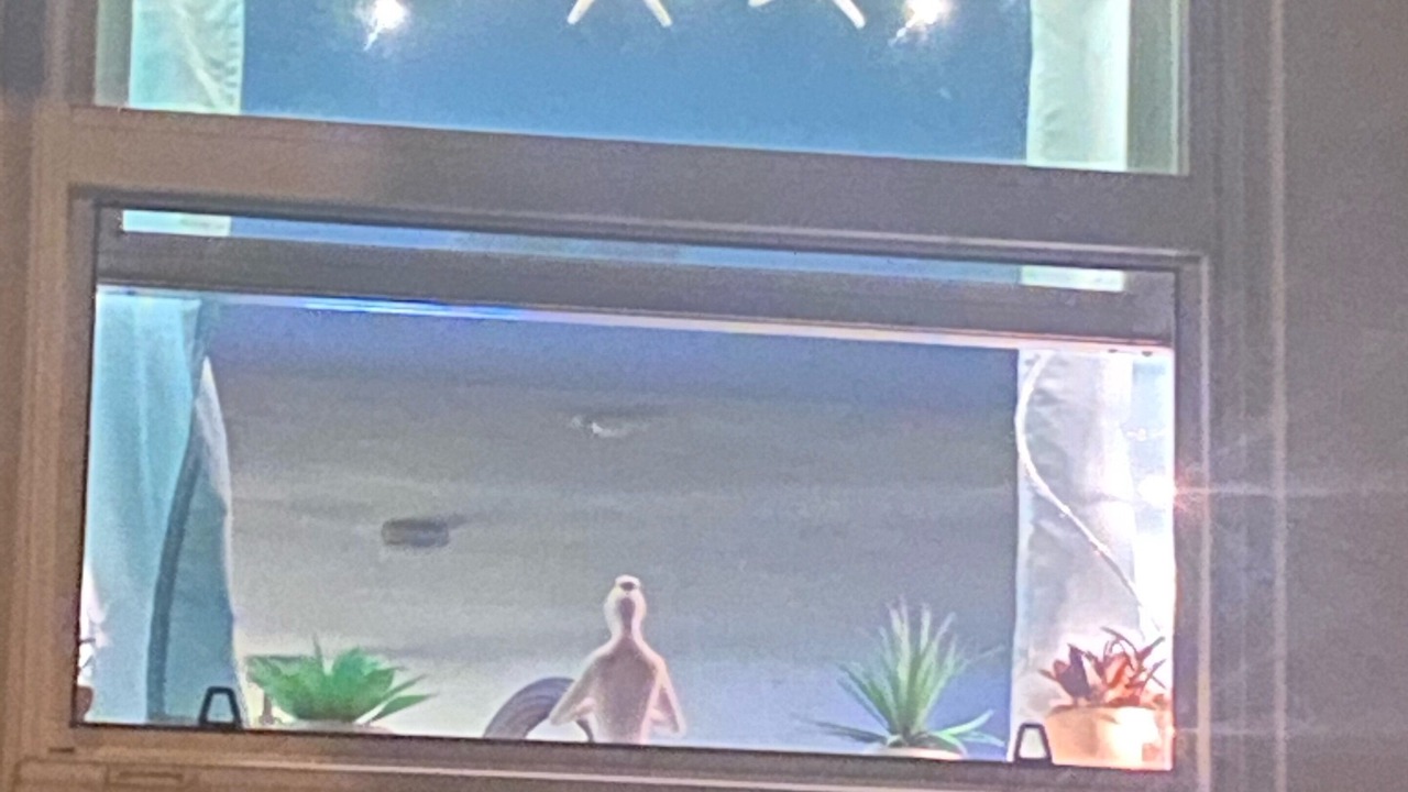 Photo of Others in Destin