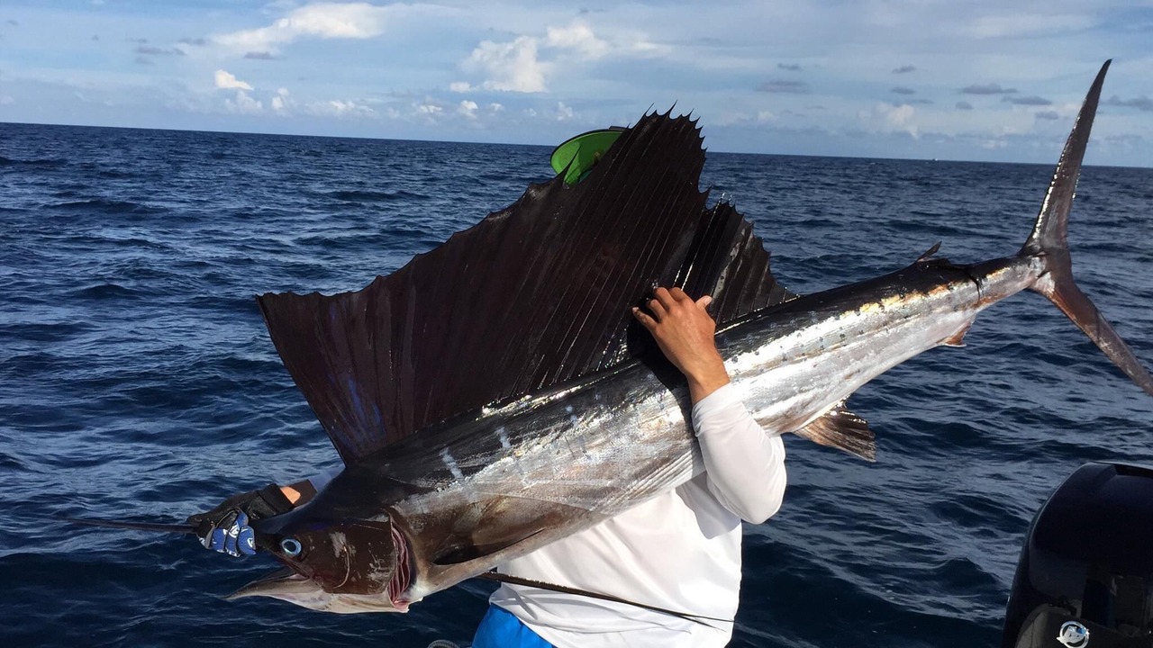Photo of Others in Marco Island
