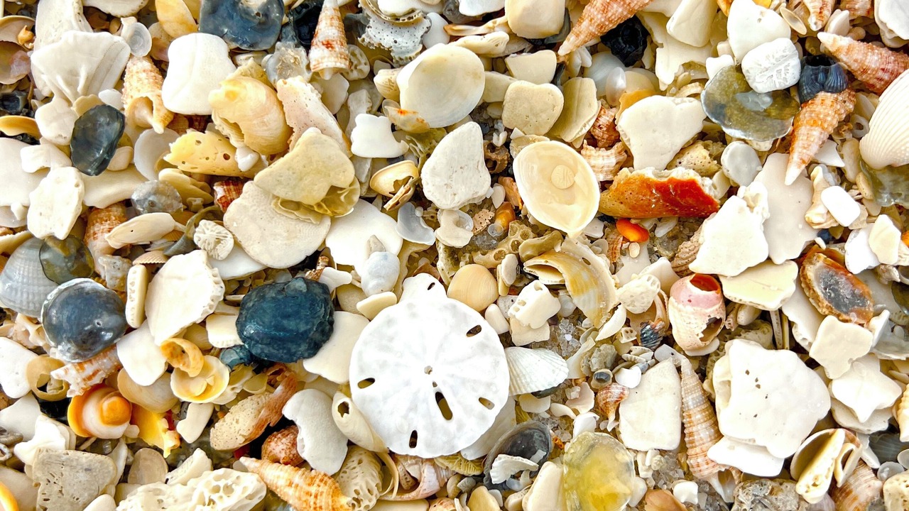 Photo of Others in Lower Grand Lagoon