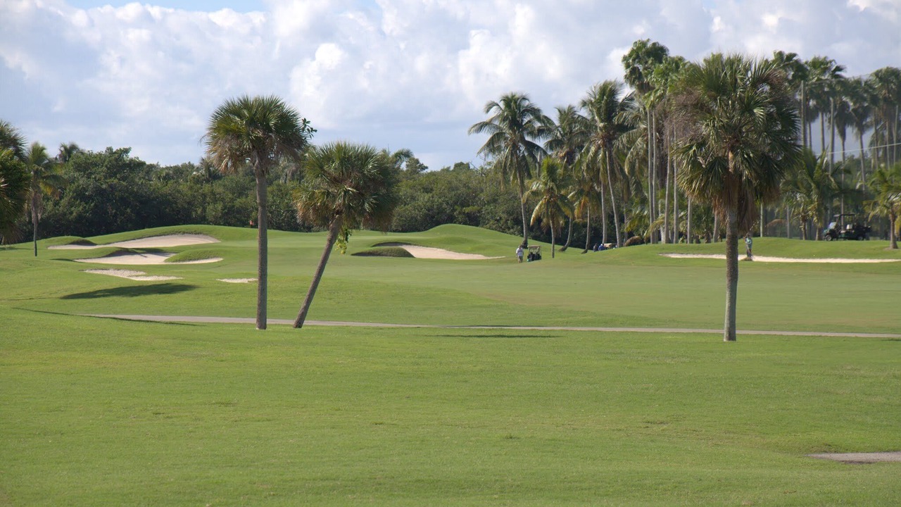 Photo of Others in Key Biscayne