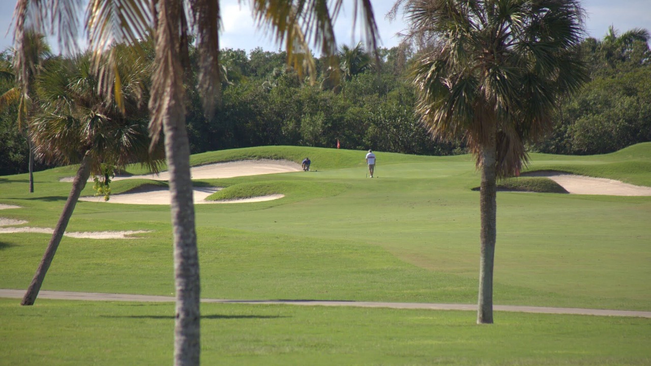 Photo of Others in Key Biscayne