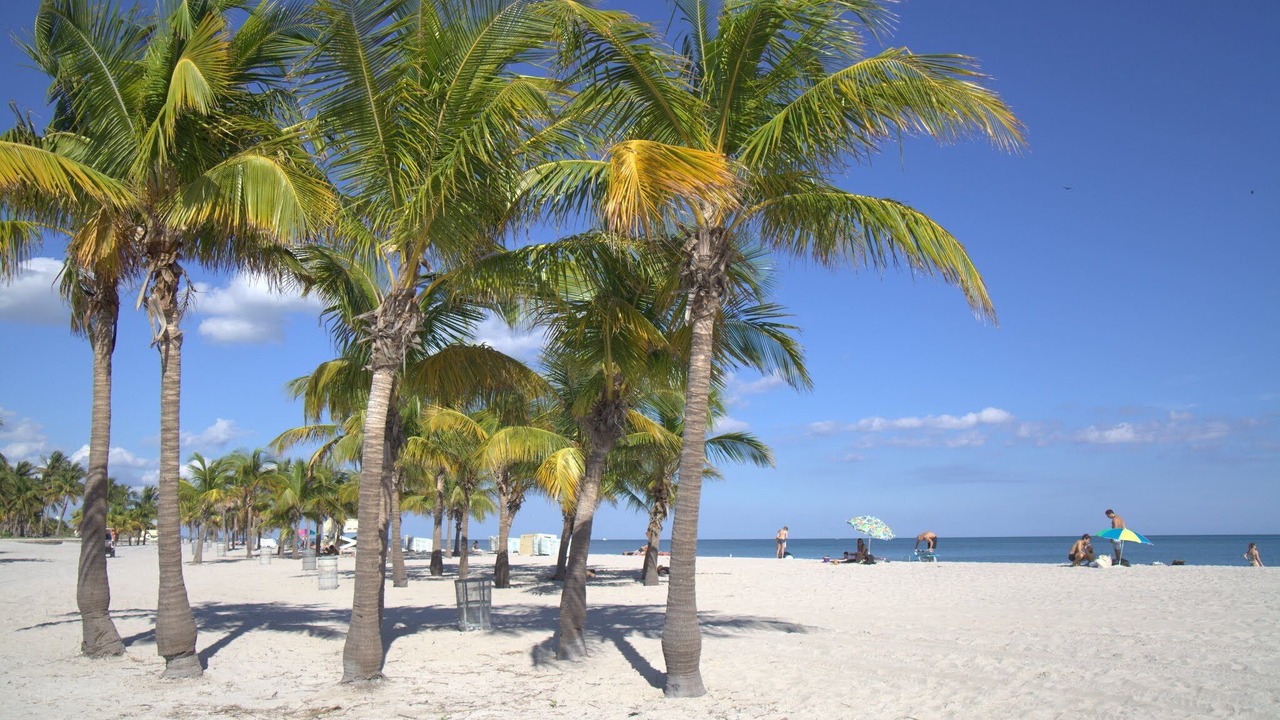Photo of Others in Key Biscayne