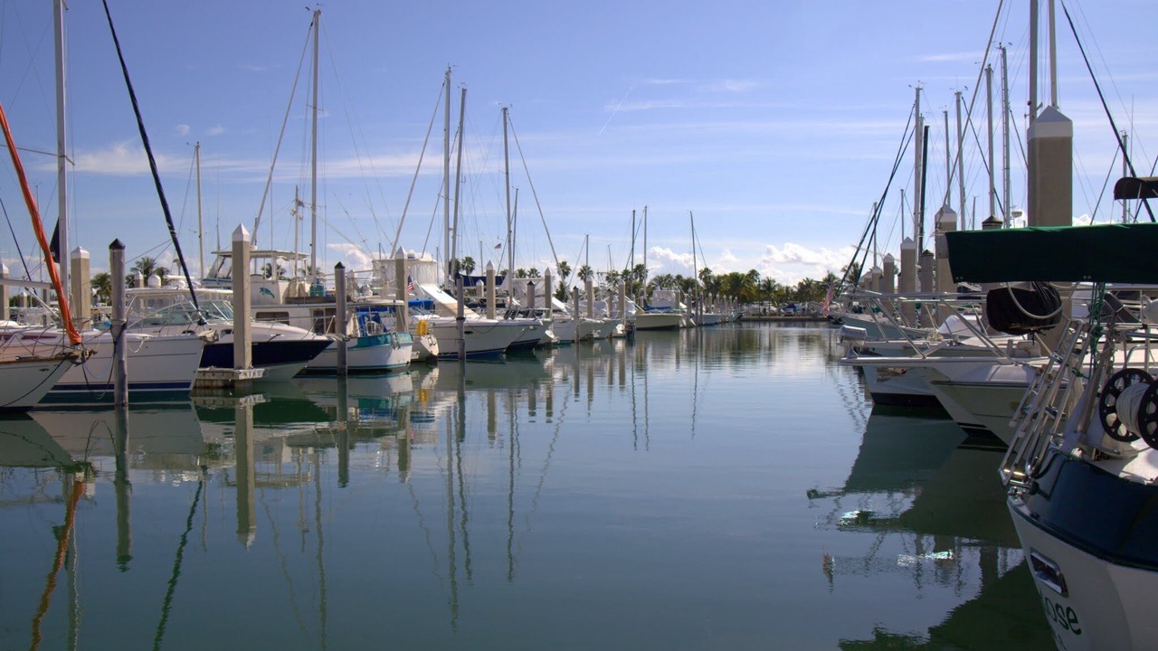 Photo of Others in Key Biscayne
