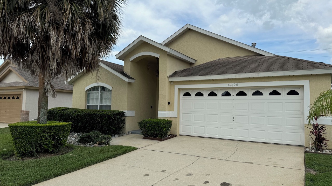 Photo of Outdoor in Orange Tree