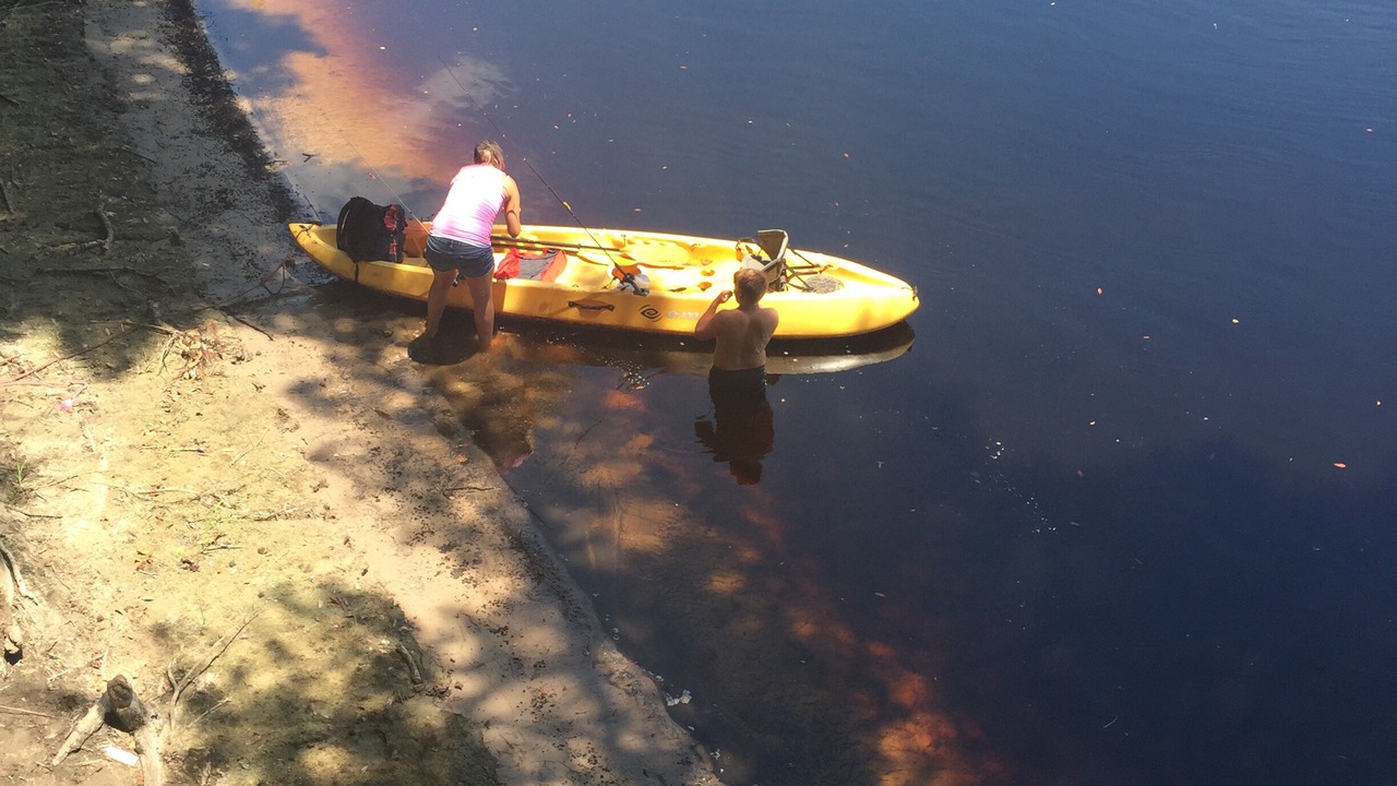 Photo of Others in Mayo