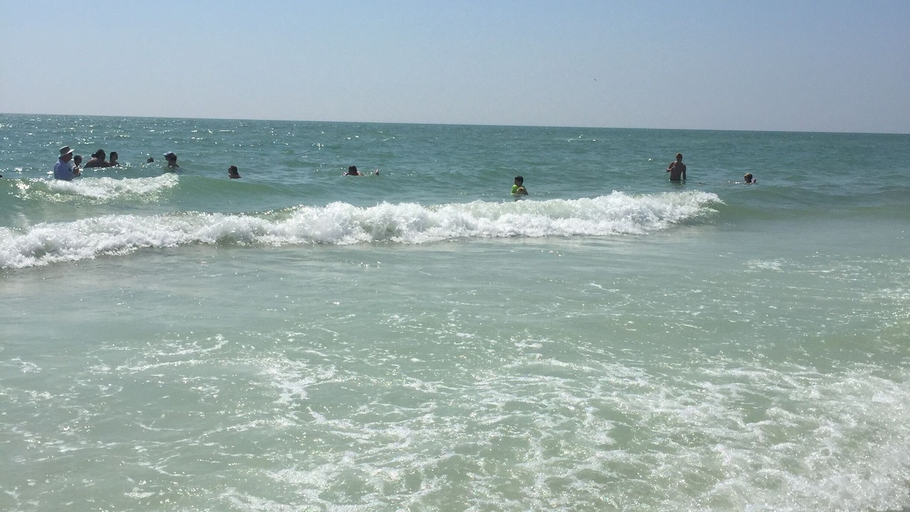 Photo of Others in Marco Island