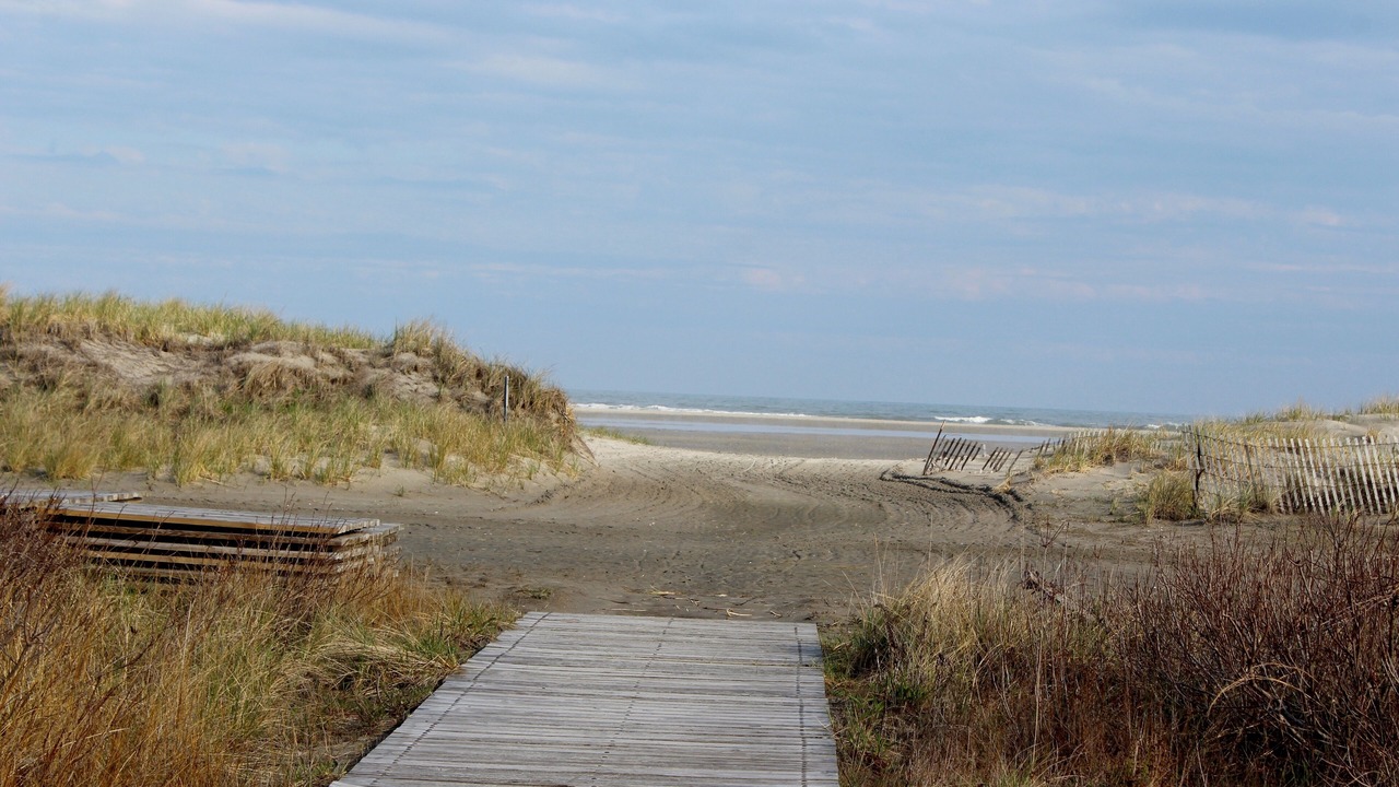 Photo of Others in Wildwood Crest