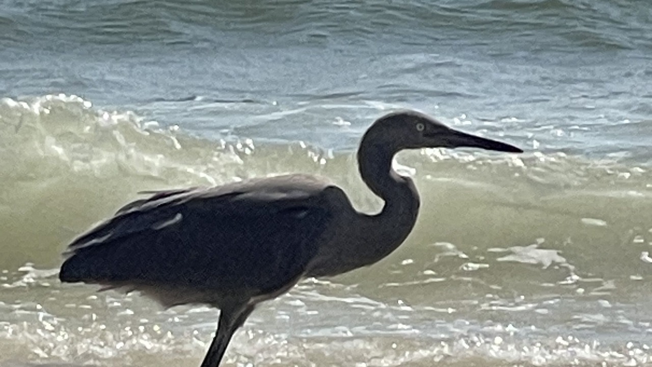 Photo of Outdoor in Port St. Joe
