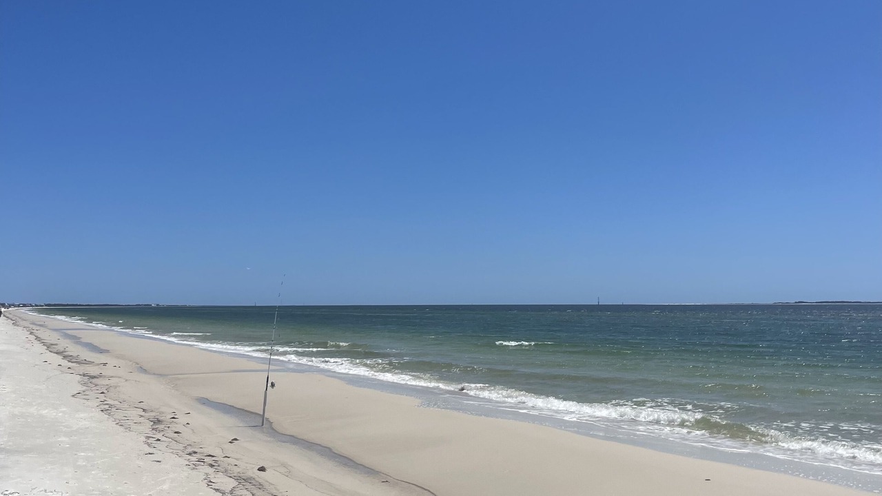 Photo of Others in Port St. Joe