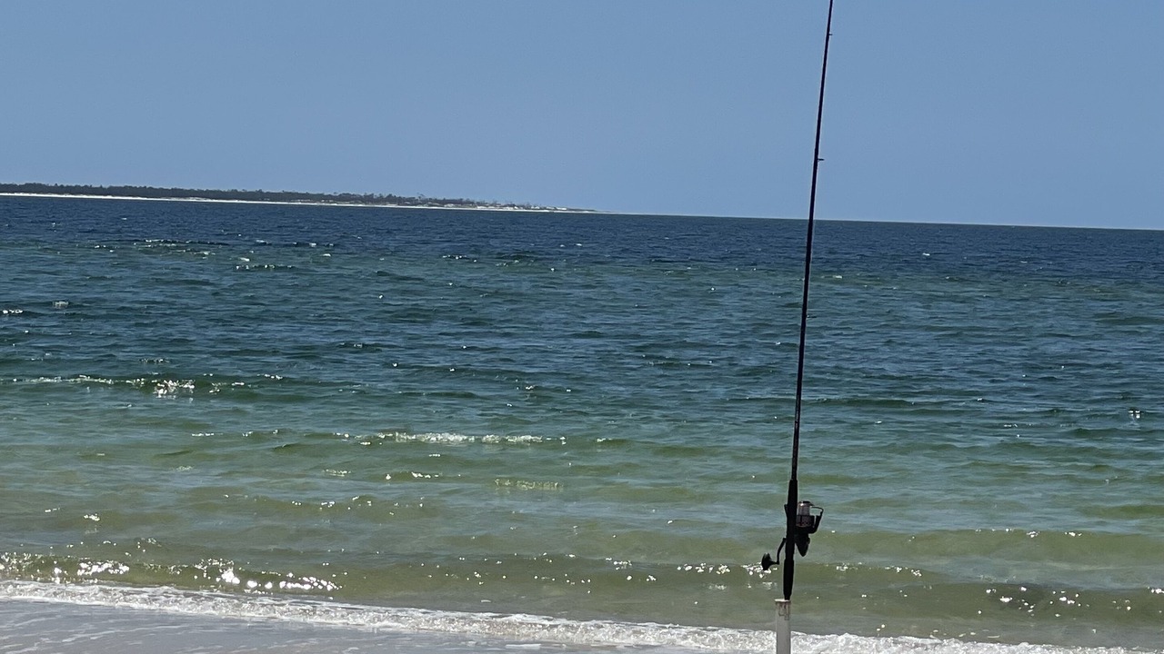 Photo of Others in Port St. Joe