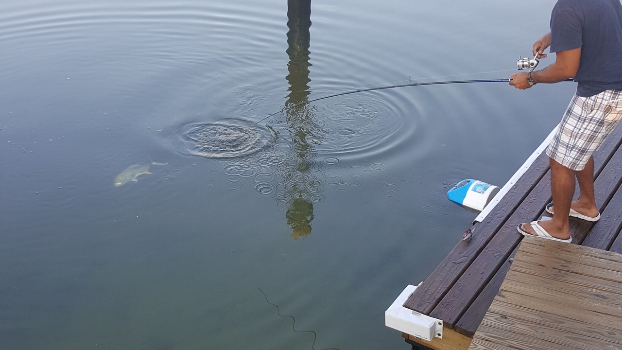 Photo of Outdoor in Coquina Key