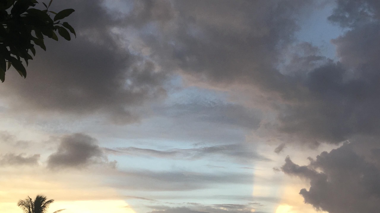 Photo of Others in Summerland Key
