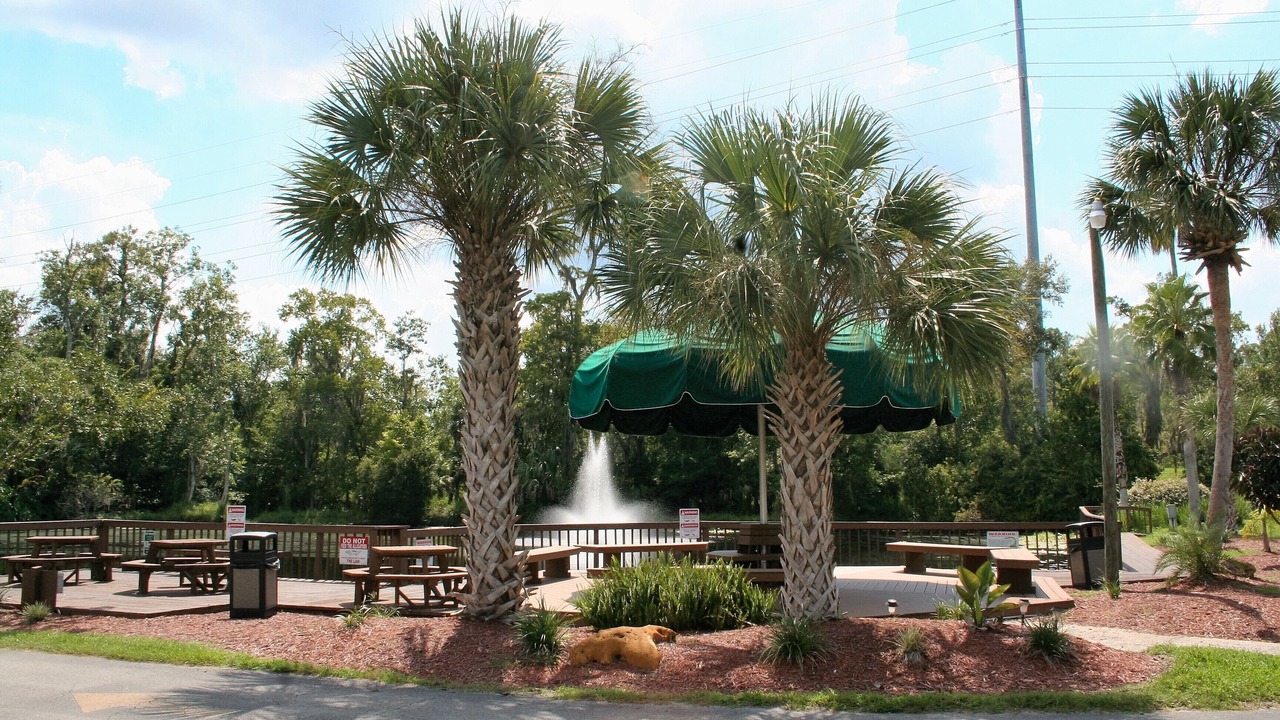 Photo of Outdoor in Kissimmee