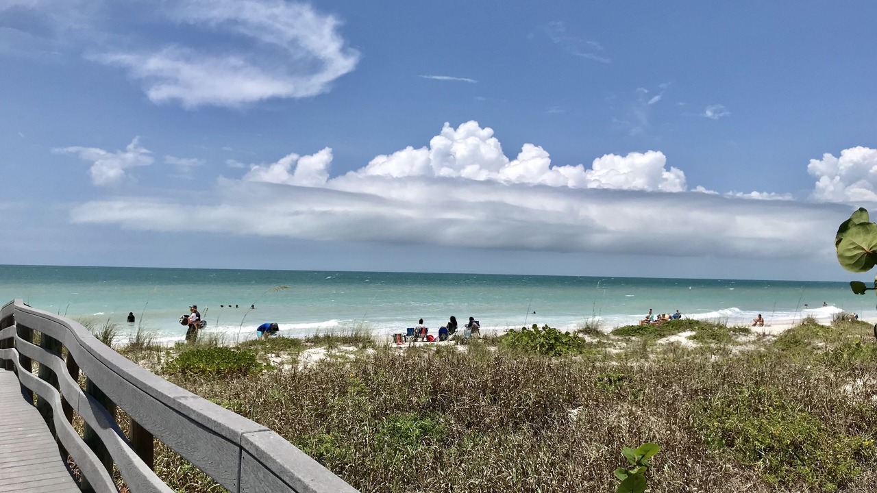 Photo of Others in Indian Rocks Beach