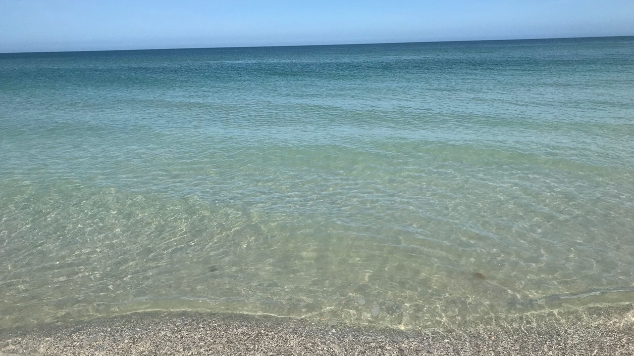 Photo of Others in Indian Rocks Beach