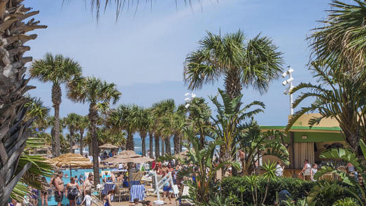 Photo of Outdoor in Daytona Beach