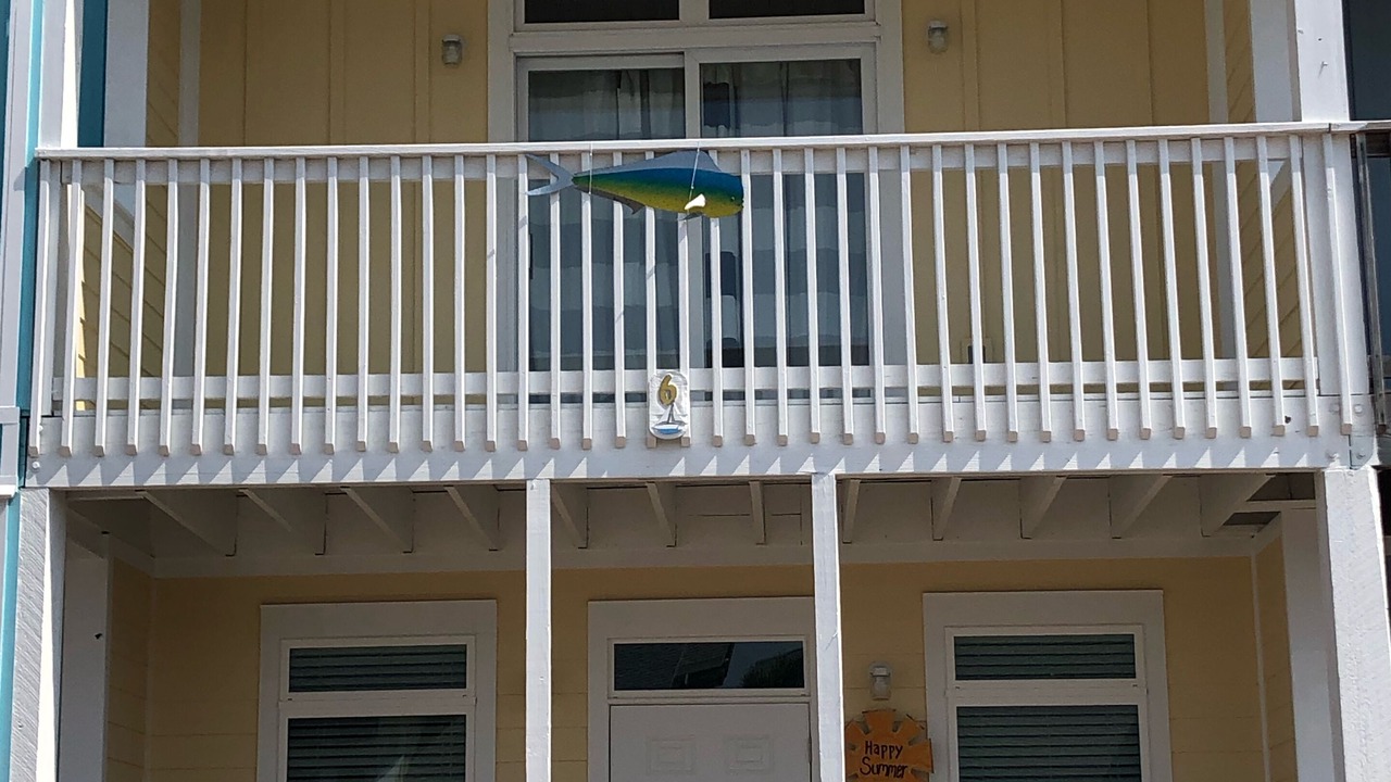 Photo of Outdoor in Mexico Beach