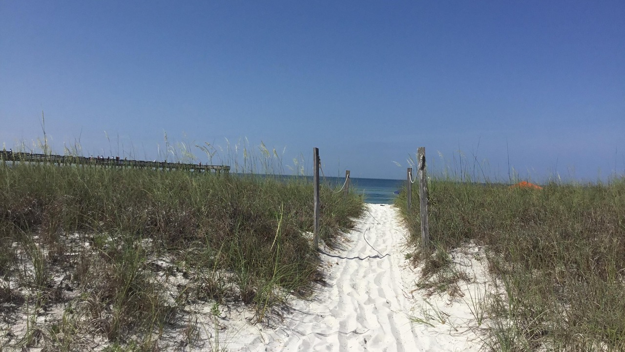 Photo of Others in Mexico Beach